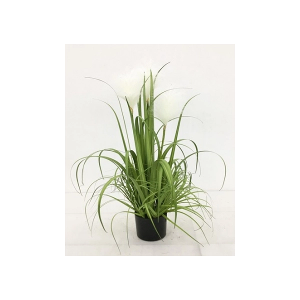 TRAWA DEKORACYJNA 81 CM