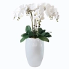 DONICA FIBERGLASS- WHITE 75CM
