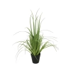 TRAWA DEKORACYJNA 53CM