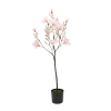 MAGNOLIA BONSAI W DONICZCE 147,3CM
