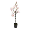 MAGNOLIA BONSAI W DONICZCE 114CM