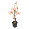 MAGNOLIA BONSAI W DONICZCE 78,7CM