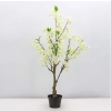 WIŚNIA BONSAI W DONICZCE 80CM