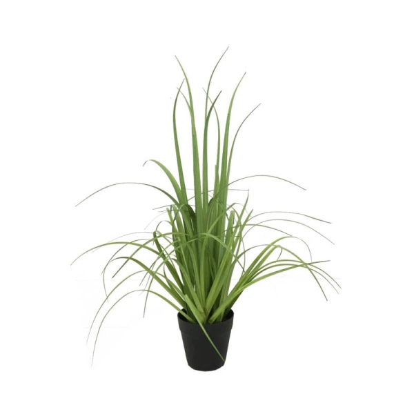 TRAWA DEKORACYJNA 53CM