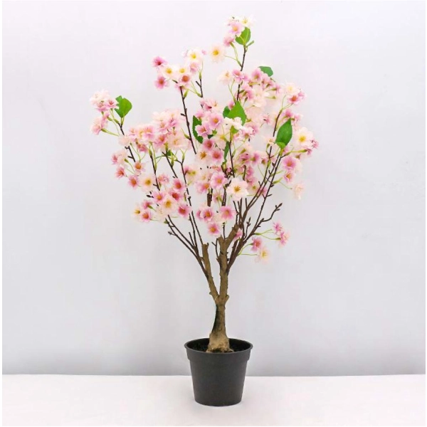 WIŚNIA BONSAI W DONICZCE 70CM