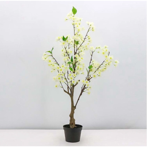 WIŚNIA BONSAI W DONICZCE 80CM