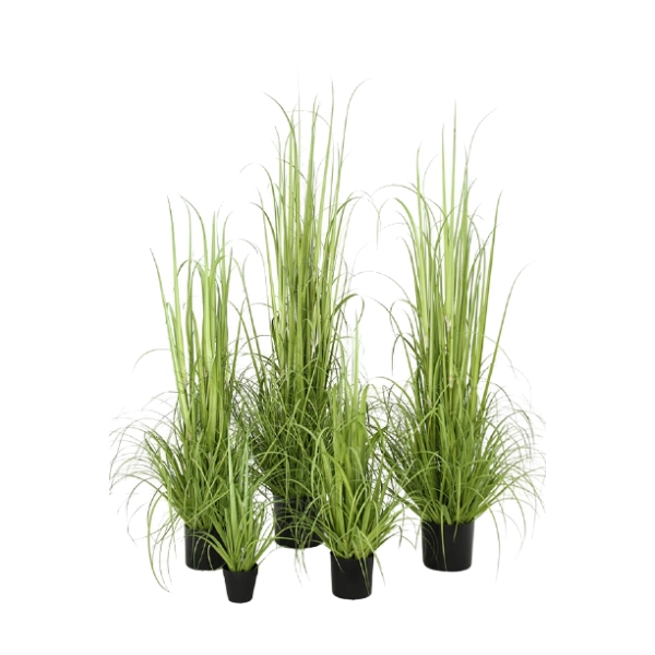TRAWA DEKORACYJNA 53CM