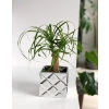 OSŁONKA CERAMICZNA SREBRNA 14CM