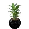 DONICA FIBERGLASS BLACK 46CM