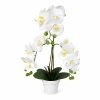 STORCZYK W DONICZCE 58 CM