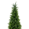 CYPRYS W DONICZCE 150CM