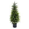 CYPRYS W DONICZCE 90CM