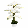STORCZYK W DONICZCE 127 CM
