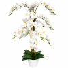 STORCZYK W DONICZCE 130 CM