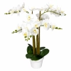 STORCZYK W DONICZCE 75 CM