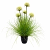 TRAWA DEKORACYJNA 56 CM