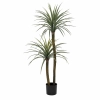 PALMA DRACENA W DONICZCE 150CM