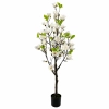 DRZEWKO MAGNOLII W DONICZCE 150CM