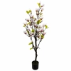 DRZEWKO MAGNOLII W DONICZCE 150CM