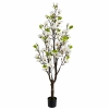 DRZEWKO MAGNOLII W DONICZCE 180CM