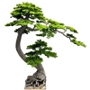 DEKORACYJNE DRZEWO BONSAI 180CM