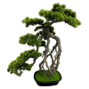 BONSAI  W DONICZCE 74CM