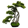 BONSAI W DONICZCE 74CM