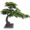 DEKORACYJNE DRZEWO BONSAI 210CM