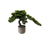 BONSAI  W DONICZCE 42CM