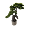 BONSAI W DONICZCE 60CM