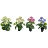 KWIAT HORTENSJI W DONICZCE 42CM