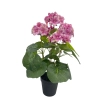 KWIAT HORTENSJI W DONICZCE 42CM