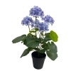 KWIAT HORTENSJI W DONICZCE 42CM