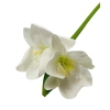 KWIAT AMARYLISA BIAŁY 73CM