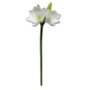 KWIAT AMARYLISA BIAŁY 73CM