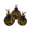 BOMBKA SZKLANA LED 30,5CM