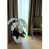 DONICA FIBERGLASS- WHITE 55 CM