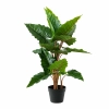 ALOCASIA W DONICZCE 120CM