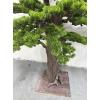 DEKORACYJNE DRZEWO BONSAI 180CM