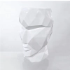 DONICA FIBERGLASS- WHITE MAT CUBE 50CM