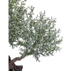 DEKORACYJNE DRZEWO OLIWNE 290CM