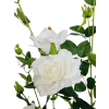 DRZEWO RÓŻANE W DONICZCE 90CM