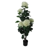 HORTENSJA W DONICZCE 100CM
