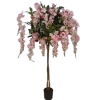 WISTERIA W DONICZCE 180CM