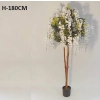WISTERIA W DONICZCE 180CM