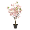 WIŚNIA BONSAI W DONICZCE 70CM