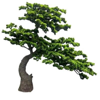 BONSAI  W DONICZCE 200CM