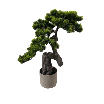 BONSAI  W DONICZCE 60CM