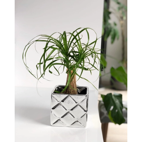 OSŁONKA CERAMICZNA SREBRNA 14CM