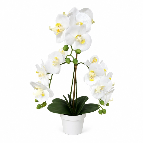STORCZYK W DONICZCE 58 CM